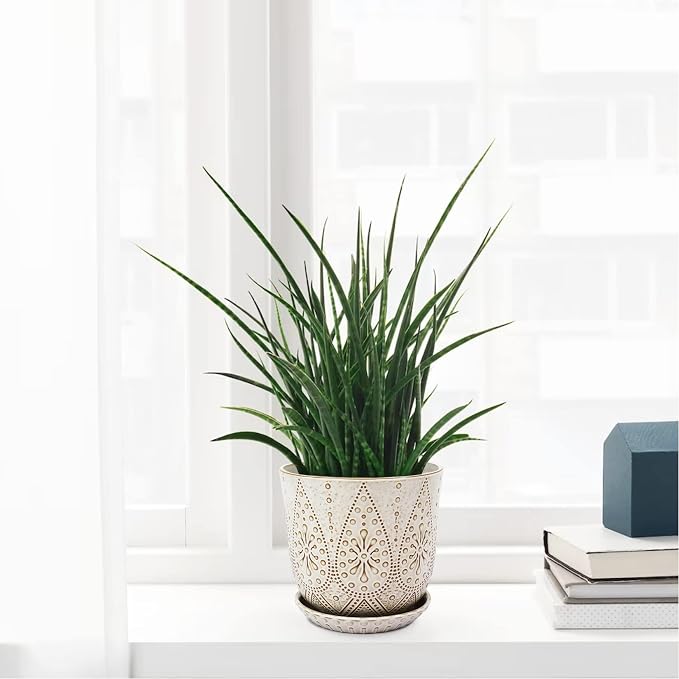 Gepege 8 Inch White Ceramic Plant Pot - Image 6