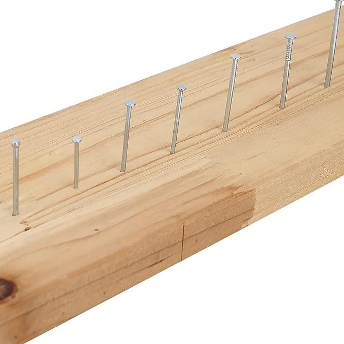 Hardware Nails Assortment Kit Wall Nails 4 Sizes Small Nails - Image 3