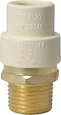 1 Pack XFITTING Male to CPVC Adapter, 1/2" NPT x 1/2" CPVC by XFITTING
