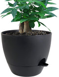 UOUZ 12 inch Large Self Watering Pots, Plastic Planters by UOUZ