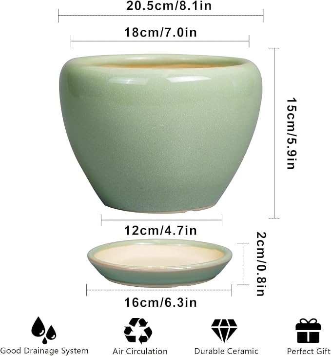 Ceramicfor 8 Inch Plant Pot - Image 3