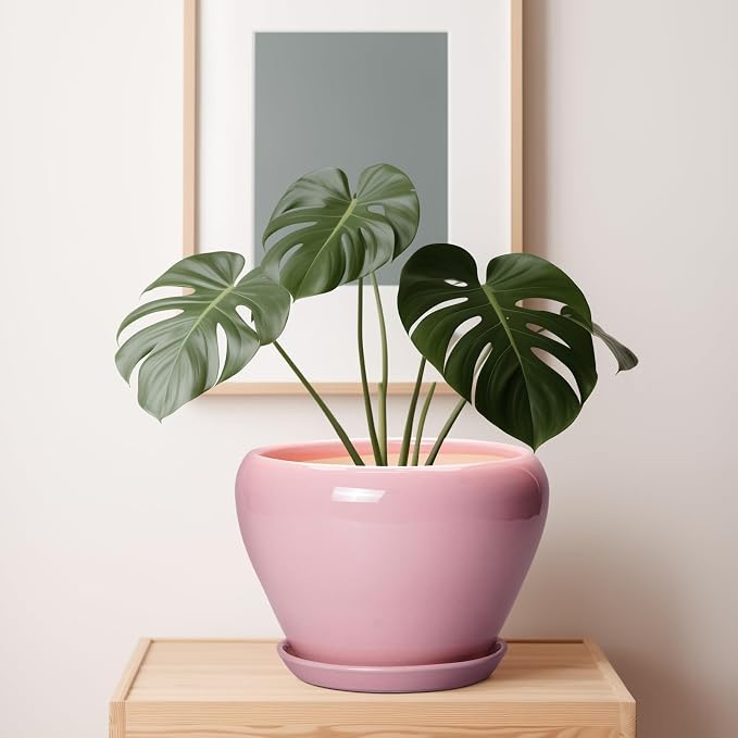 Ceramicfor 10 Inch Plant Pot - Image 7