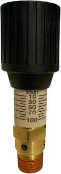 American Made Brass Pressure Relief 0-100 PSI Adjustable Range Valve | fits by Sellerocity