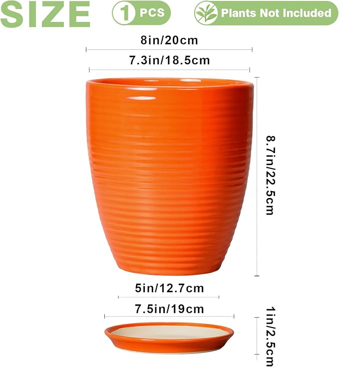 8 Inch Plant Pot, Ceramic Planters - Image 2