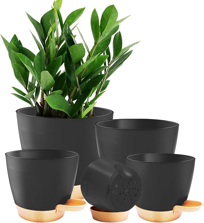 Self Watering Planter Pots for Plants, Drainage holes and saucers, by Unknown
