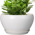 Ceramicfor Ceramic Planter for Indoor Plants by Ceramicfor