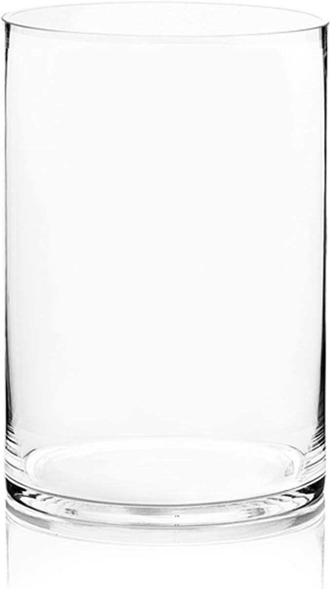 WGV Cylinder Vase, Width 8", Height 12", Floral Container, Planter Terrarium by WGVInternational-OpusGlassware