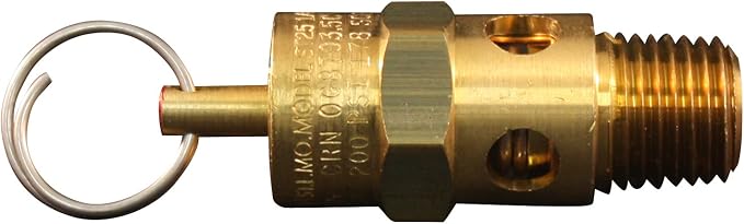 Milton S-1090-200 1/4" MNPT ASME Safety Valve by Milton