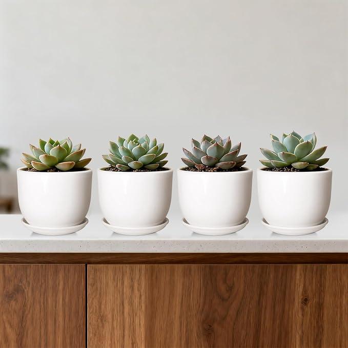 Ceramic Plant Pots, Ceramic Planter - Image 4