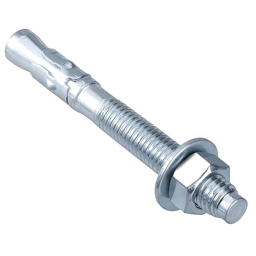 Party Animals 1/4 x 3-3/4 Inch Wedge Anchor by PartyAnimals
