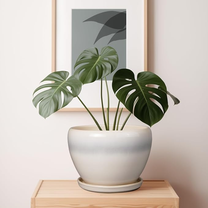 Ceramicfor 10 Inch Ceramic Planter Pot, Cream White | Large Plant Pot - Image 4