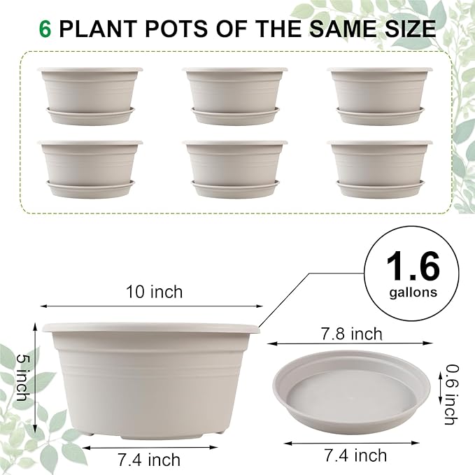 6 Pack 10 inch Plant Pot, Shallow Planters - Image 2
