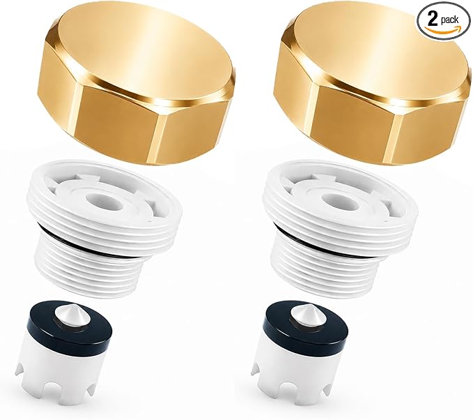 Gold Metal ASSE 1019-A Vacuum Breaker Check Valve Repair Kit, Anti-Siphon by Lifeneedssparkstofly