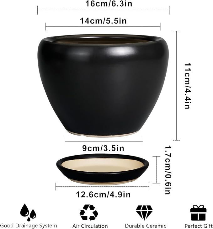 Ceramicfor Ceramic Planter Pot - Image 3