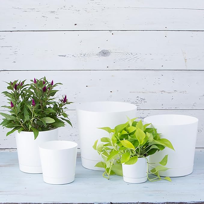 Novelty Majestic Full Depth Cylinder Pot, Glossy White - Image 6