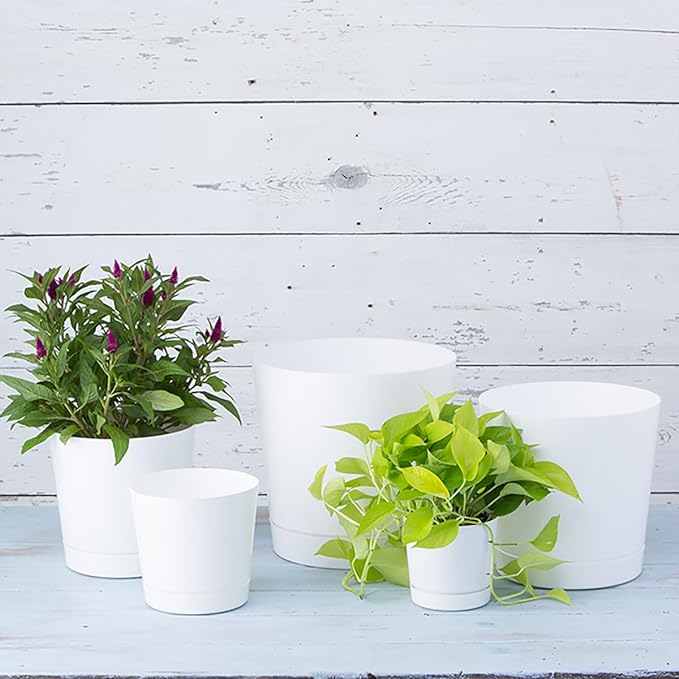 Novelty Majestic Full Depth Cylinder Pot, Glossy White - Image 6