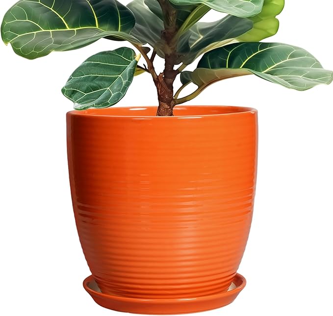 12 Inch Plant Pot, Ceramic Planters by EPFamily