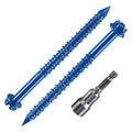 Wensilon 1/4 "* 3-1/4" Slotted Hexagonal Head Concrete Screw Anchor Blue by Wensilon