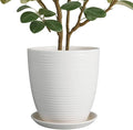 10 Inch Ceramic Planter Pot by EPFamily