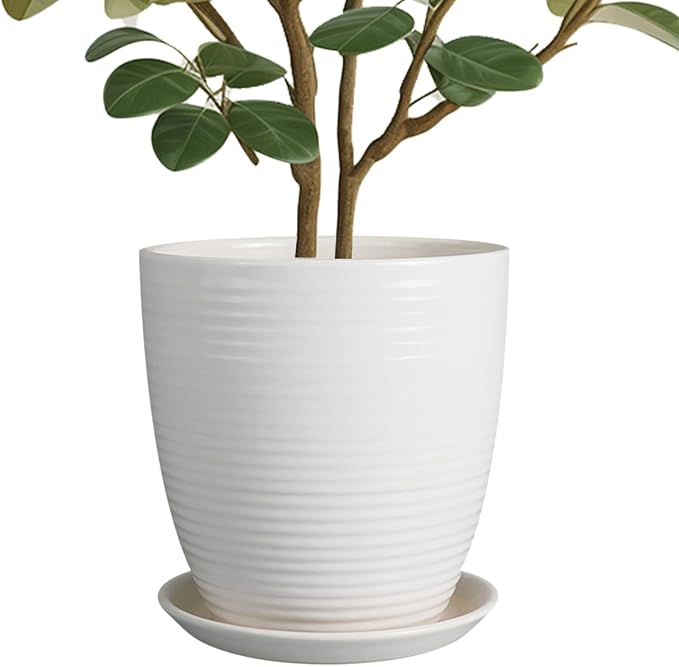 10 Inch Ceramic Planter Pot by EPFamily