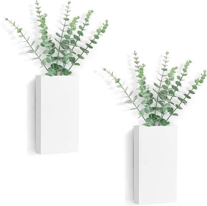 Dahey 2 PCS Wall Planter Vase by Dahey