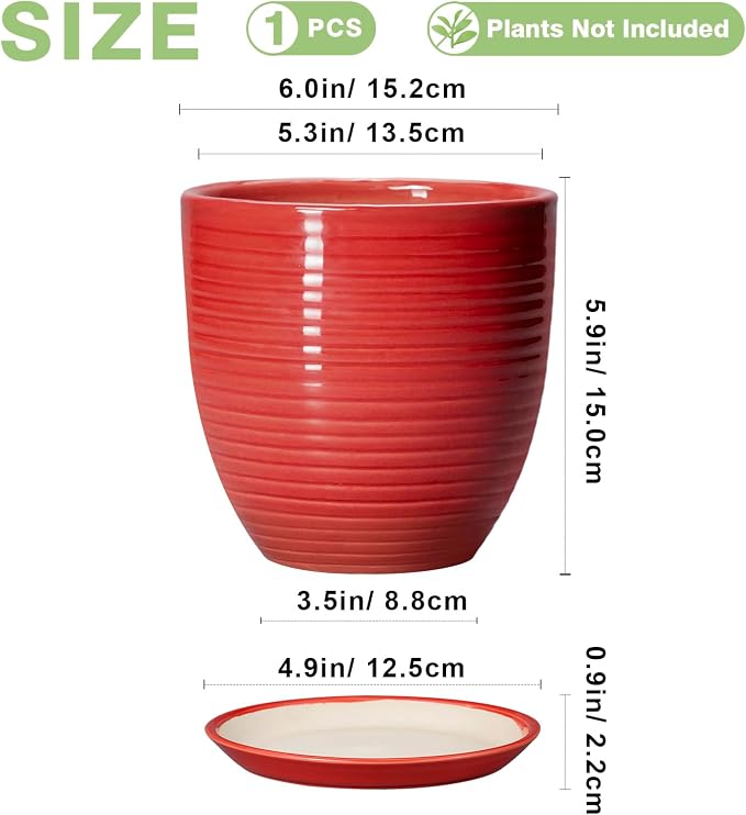 6 Inch Ceramic Plant Pot - Image 2