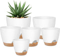 QRRICA Plant Pots 8/7/6.5/6/5.5/5 Inch Self Watering Pots, Plastic Flower Pots by QRRICA