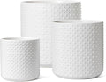 LE TAUCI 10+8+6 Inch Ceramic Pots by LETAUCI