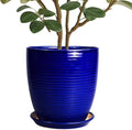 Ceramic Planter Pot by EPFamily