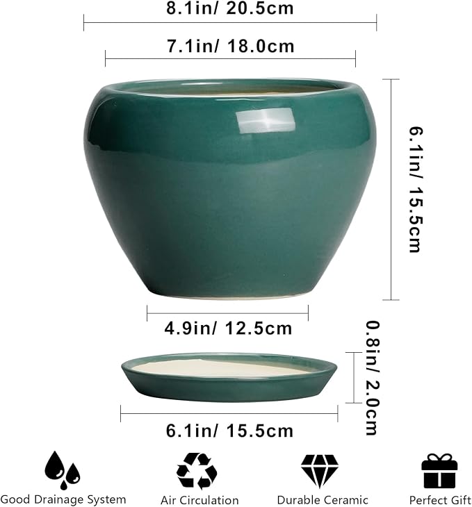 Ceramicfor 8 Inch Plant Pot - Image 3