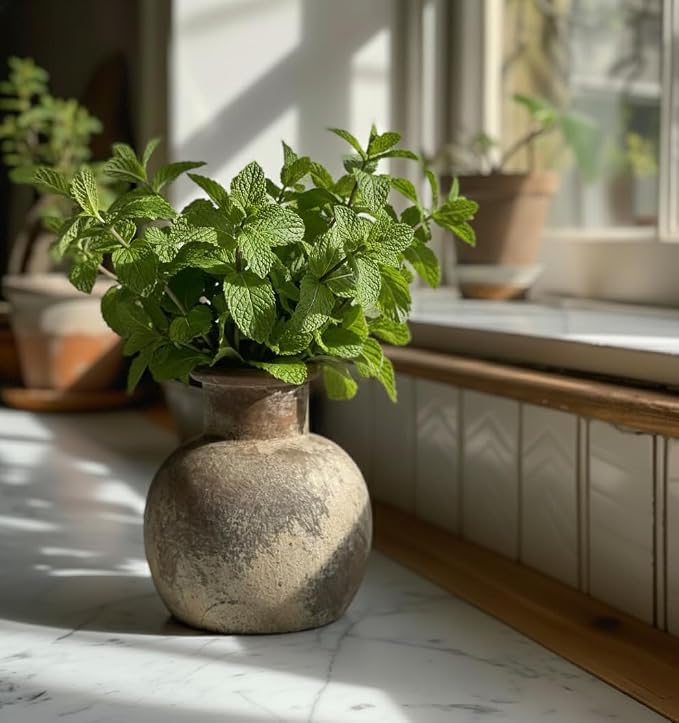 SIDUCAL Ceramic Rustic Farmhouse Vase | 6 Inch Pottery Decorative Flower - Image 8
