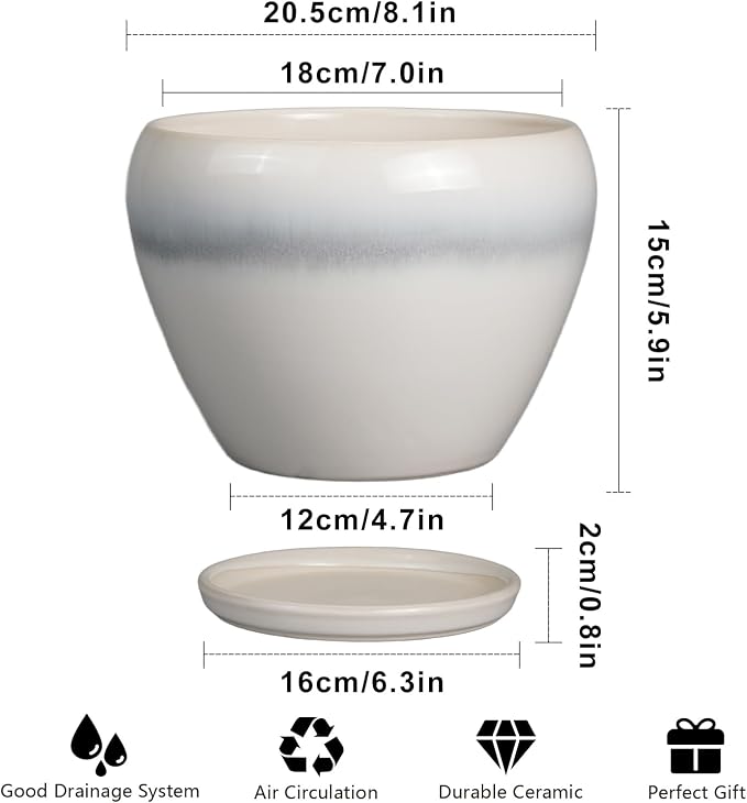 Ceramicfor Ceramic Planter - Image 3