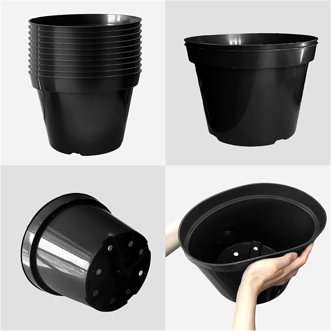 RooTrimmer 10 Inch Plastic Nursery Pots - Image 3