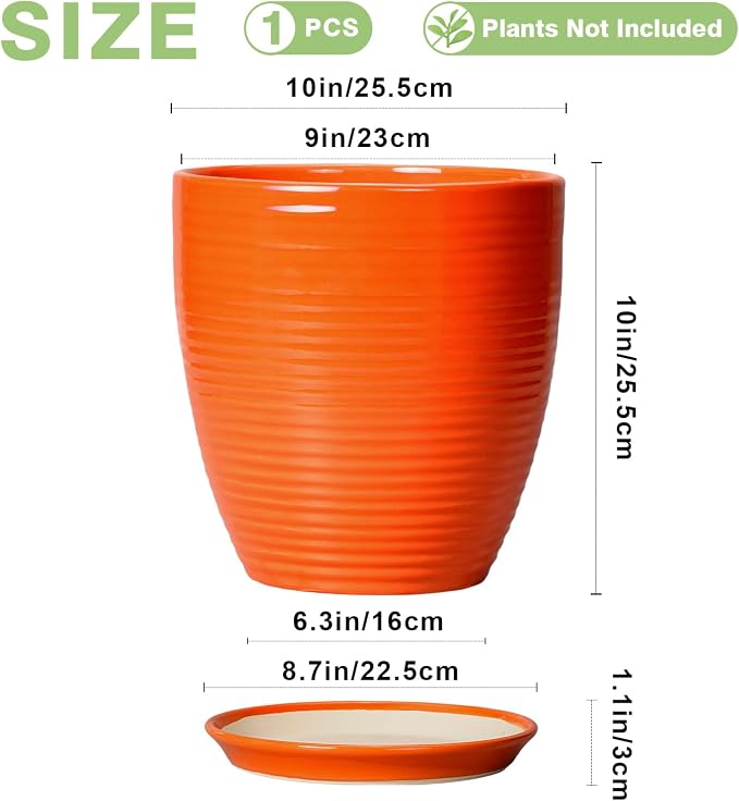 10 Inch Plant Pot, Ceramic Planters - Image 3