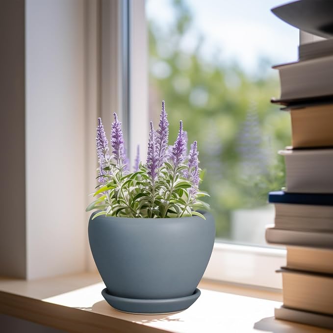 Ceramicfor Ceramic Pot for Plants - Image 2