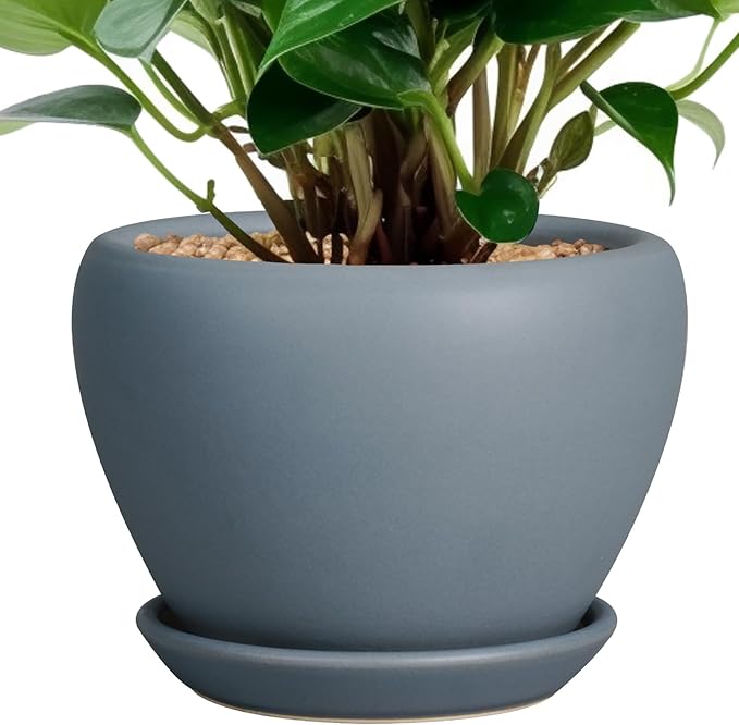 Ceramicfor Ceramic Pot for Plants by Ceramicfor