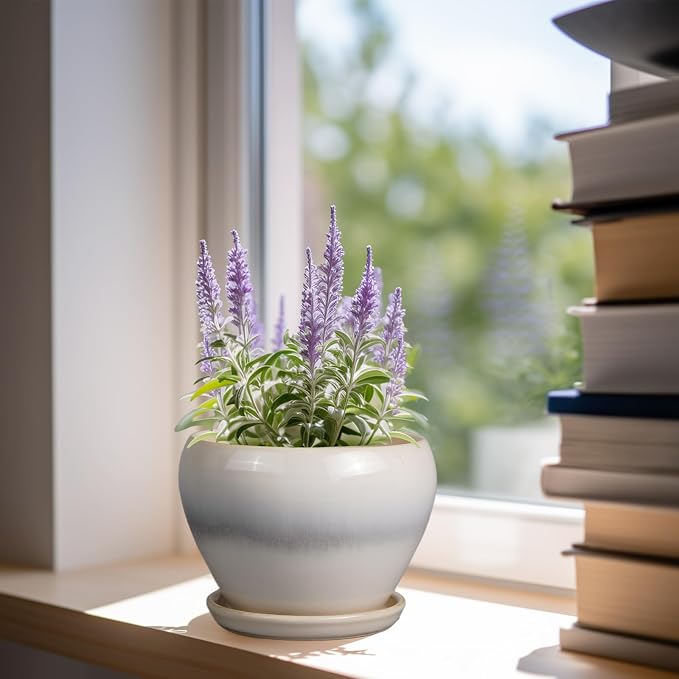 Ceramicfor Planter Pot 6 Inch - Image 2
