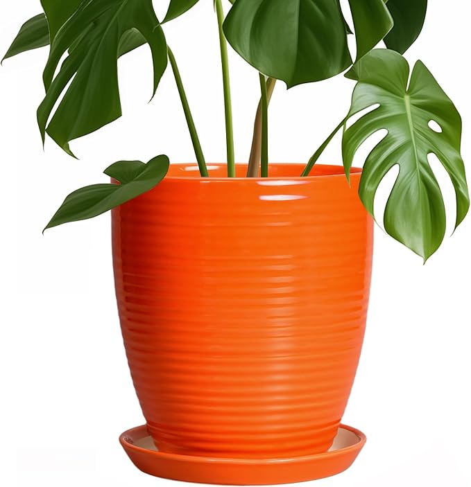 8 Inch Plant Pot, Ceramic Planters by EPFamily