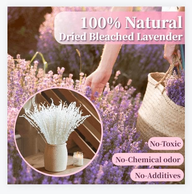 Glicrili Dried Lavender Flowers Real Stems White Bouquet - Image 2