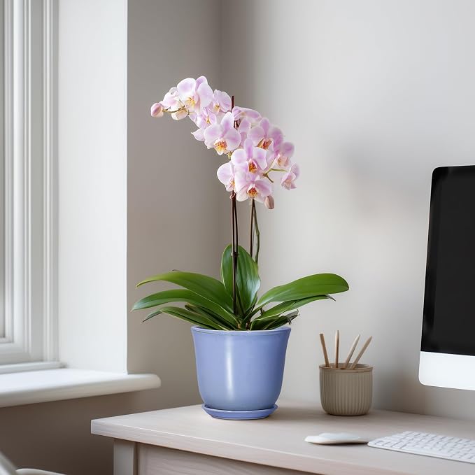 Ceramic Plant Pots, 5.6 Inch Plant Pot - Image 7