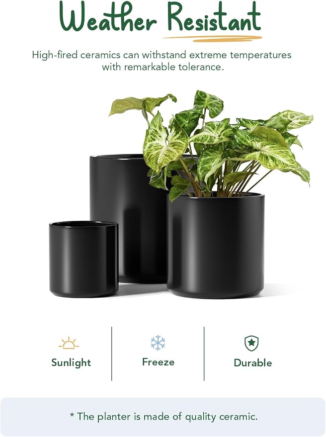 LE TAUCI 10+8+6 Inch Ceramic Pots - Image 6