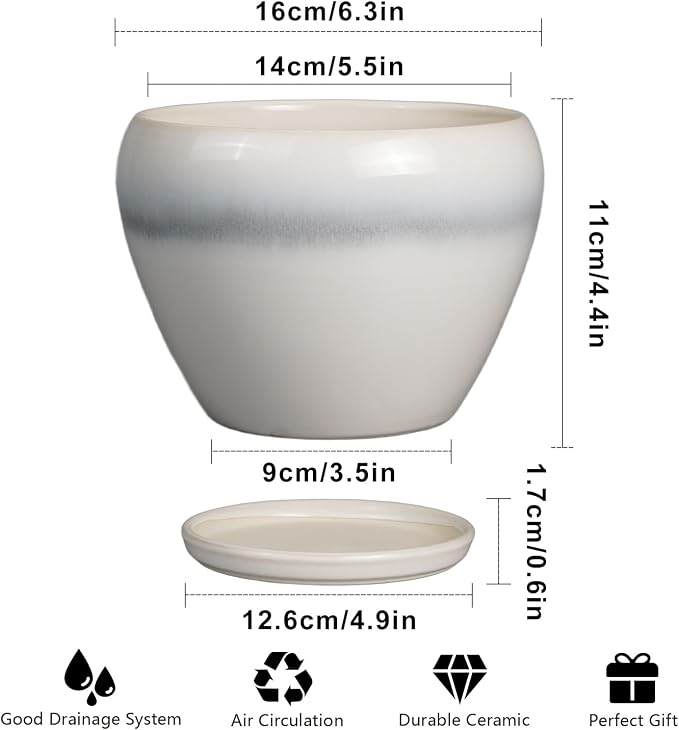 Ceramicfor Planter Pot 6 Inch - Image 3