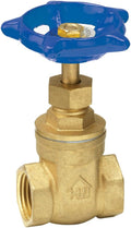 Homewerks VGT-S20-B10B 3-Inch Standard 200 WOG Gate Valve IPS by HomewerksWorldwide