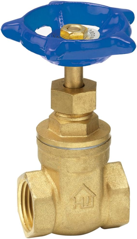 Homewerks VGT-S20-B10B 3-Inch Standard 200 WOG Gate Valve IPS by HomewerksWorldwide