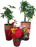 24, 11 Inch Large Plastic Planters by MinCHI257