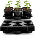 RooTrimmer 6 Inch Plastic Plant Pots 30 Pack and 6 Cell Nursery Pots Trays 5 by RooTrimmer