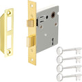 Mortise Lock Latch Replacement Parts, Polished Gold Finish | Includes Antique by Newliplace