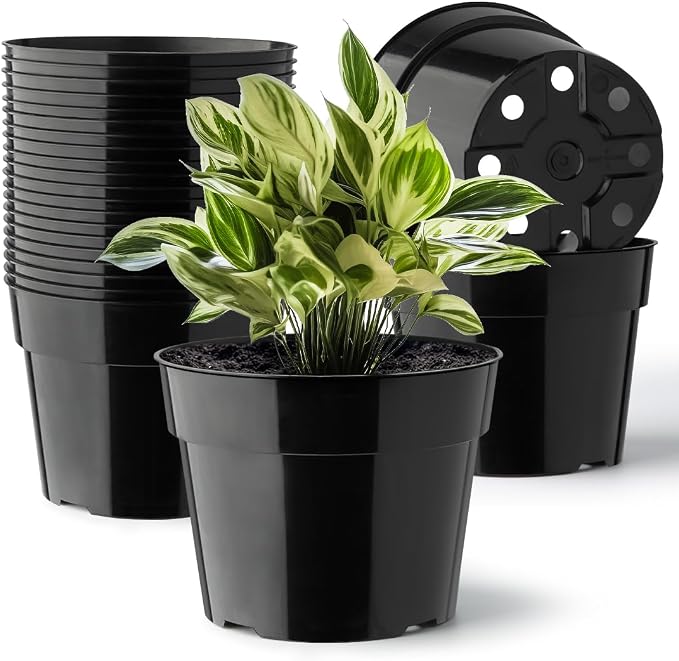 RooTrimmer 20 Pack Plant Pots, 6 Inch Plastic Plant Planter by RooTrimmer