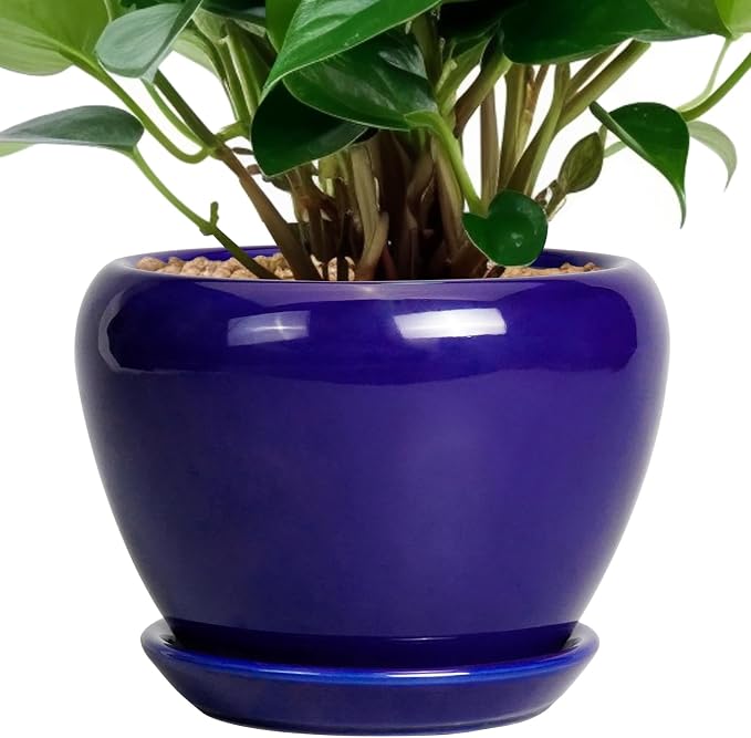 Ceramicfor 6 Inch Plant Pot by Ceramicfor