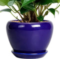 Ceramicfor 6 Inch Plant Pot by Ceramicfor